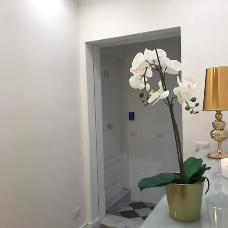 Motta Palace & Pensión